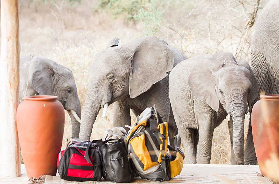 What to Pack for an African Safari
