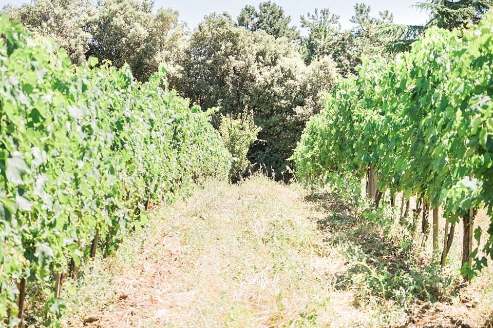 Podere Il Coco Winery, Montalcino, Italy | © The Globetrotter Collective - https://www.theglobetrottercollective.com
