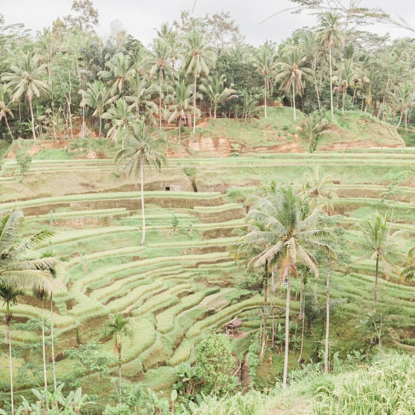 Tegallalang Rice Terraces, Ubud, Bali | © The Globetrotter Collective - https://www.theglobetrottercollective.com