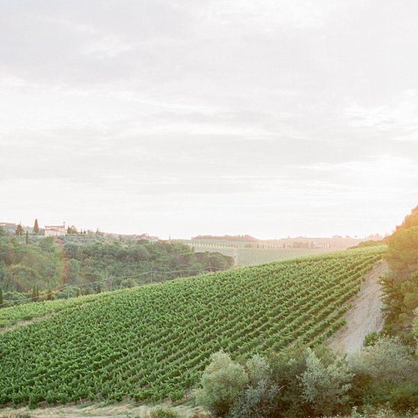 Vineyard in Tuscany, Italy | © The Globetrotter Collective - https://www.theglobetrottercollective.com