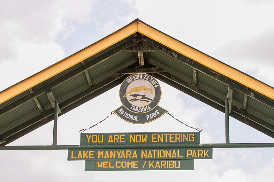 Lake Manyara Safari Game Drive, Tanzania | © The Globetrotter Collective - https://www.theglobetrottercollective.com