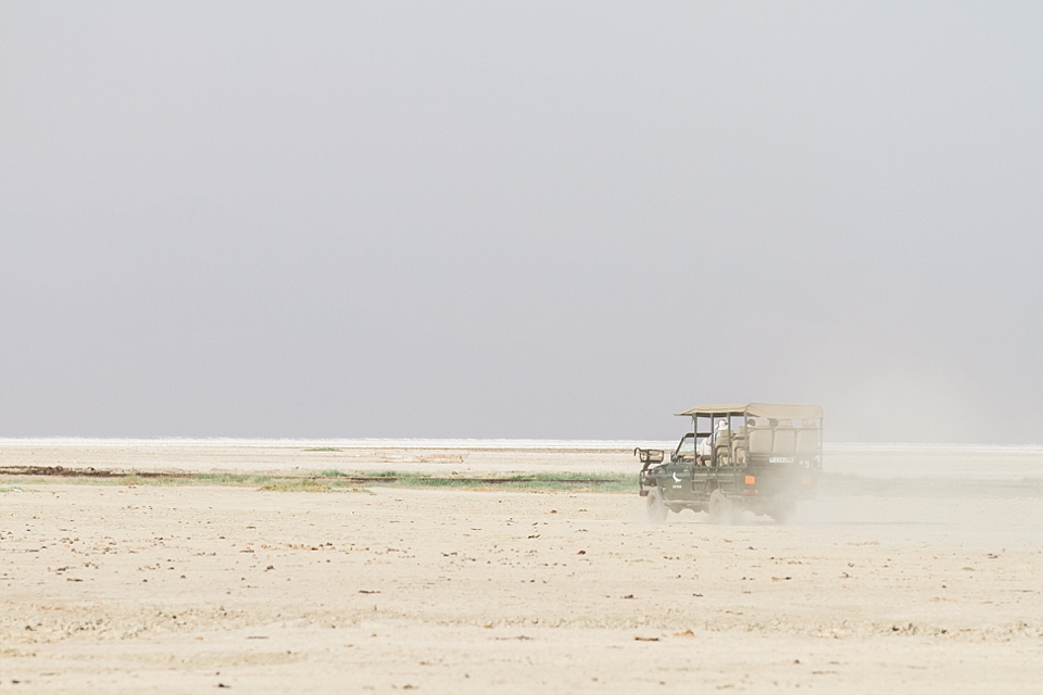 Lake Manyara Safari Game Drive, Tanzania | © The Globetrotter Collective - https://www.theglobetrottercollective.com