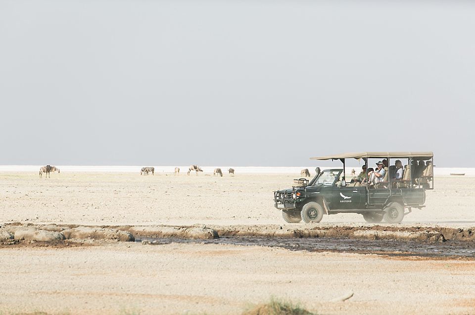 Lake Manyara Safari Game Drive | Tanzania