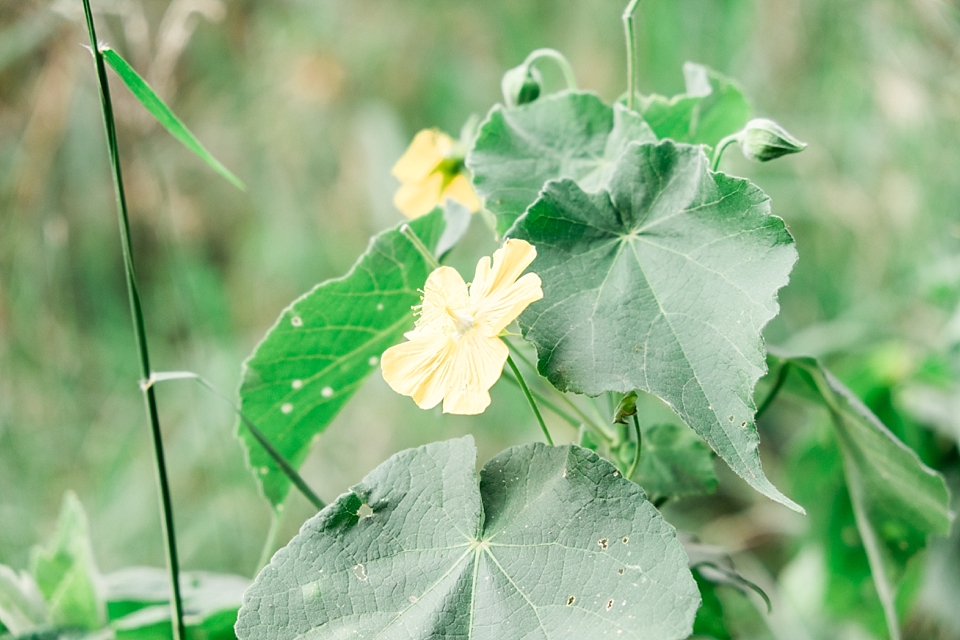 Masai Mara Safari Game Drive, Kenya | © The Globetrotter Collective - https://www.theglobetrottercollective.com