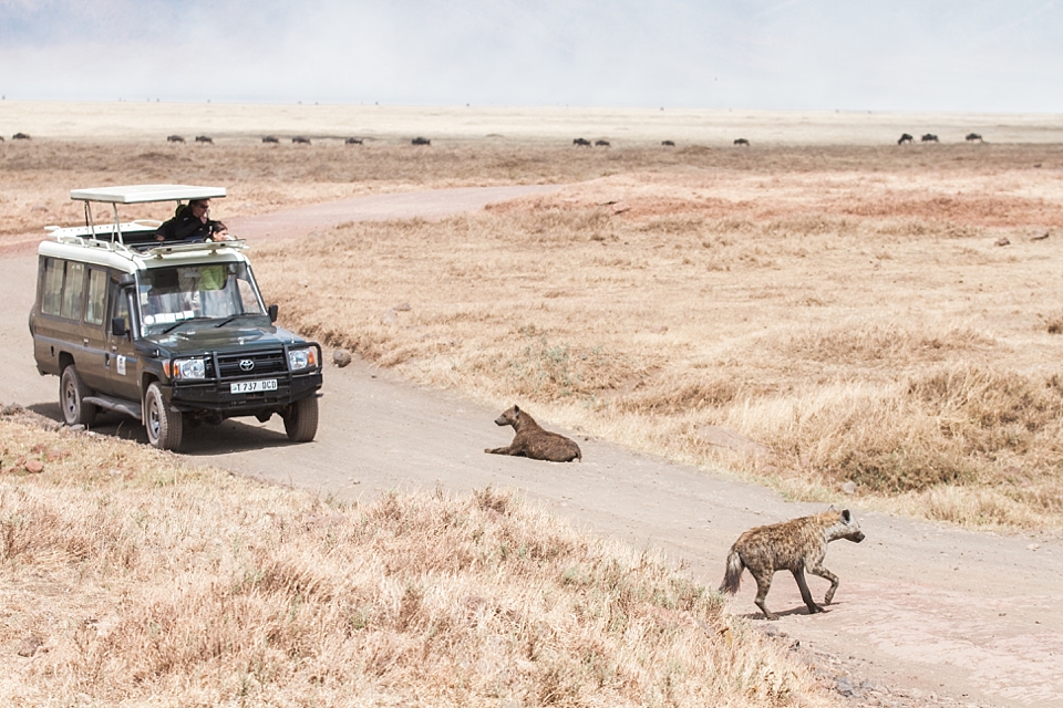 Ngorongoro Crater Safari Game Drive, Tanzania | © The Globetrotter Collective - https://www.theglobetrottercollective.com
