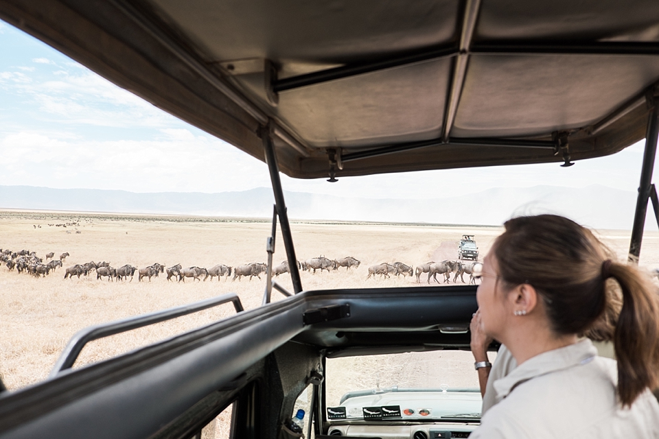 Ngorongoro Crater Safari Game Drive, Tanzania | © The Globetrotter Collective - https://www.theglobetrottercollective.com