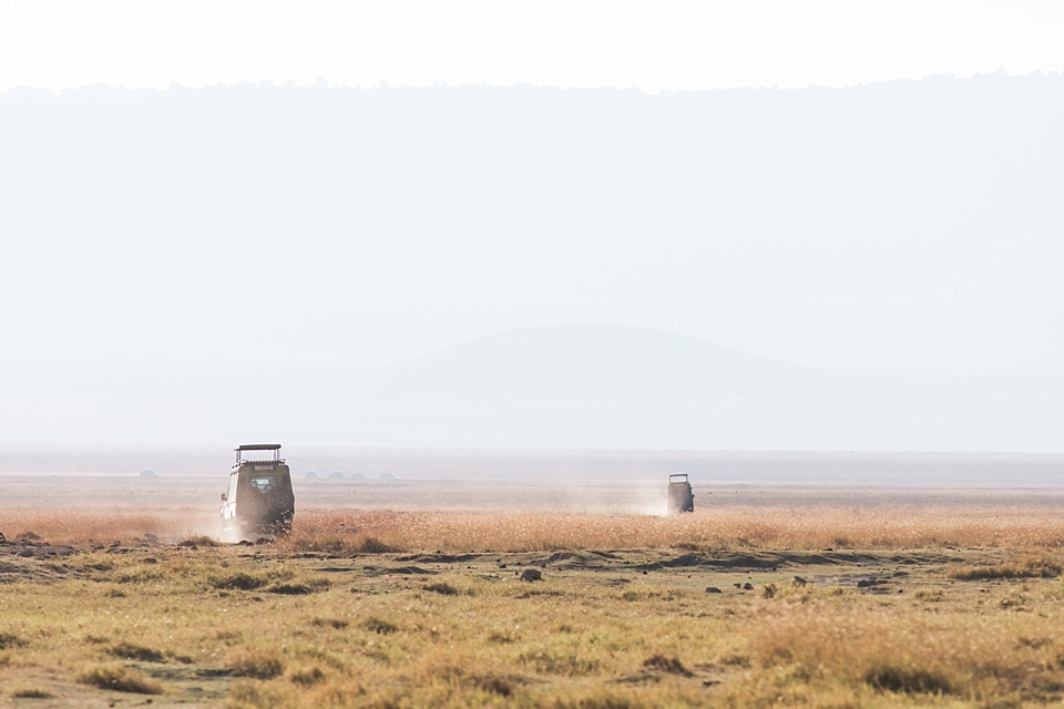 Ngorongoro Crater Safari Game Drive, Tanzania | © The Globetrotter Collective - https://www.theglobetrottercollective.com