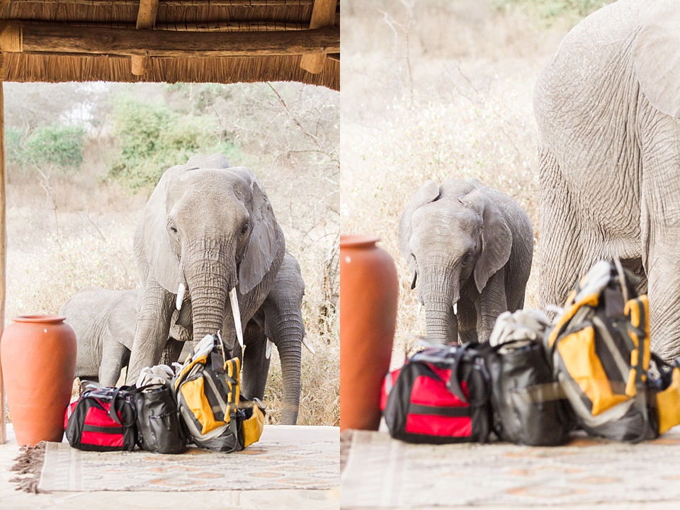 Asilia Olivers Camp, Tarangire, Tanzania | © The Globetrotter Collective - https://www.theglobetrottercollective.com