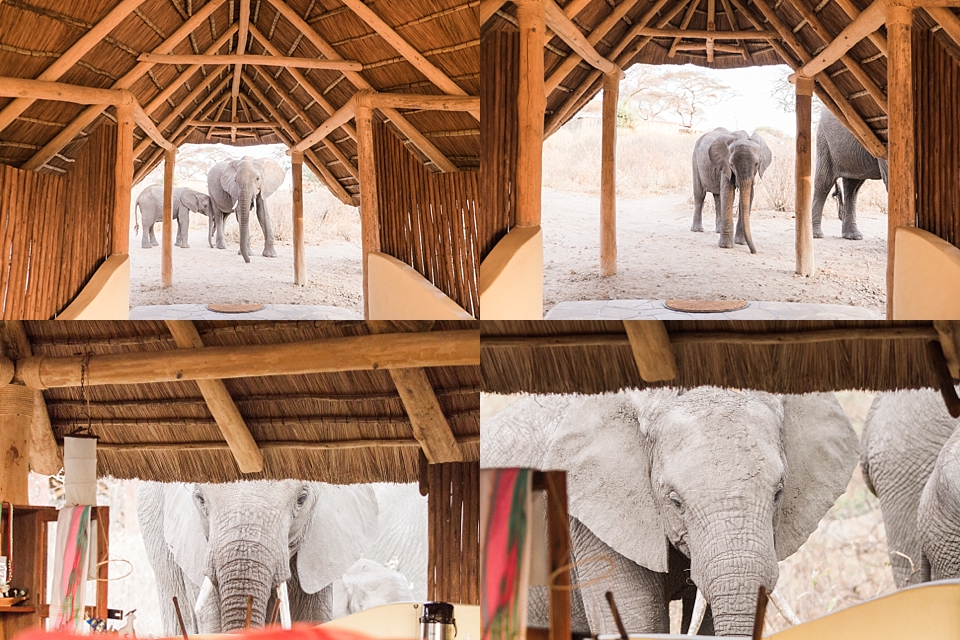 Asilia Olivers Camp, Tarangire, Tanzania | © The Globetrotter Collective - https://www.theglobetrottercollective.com