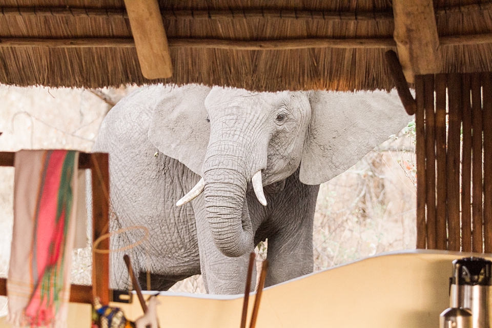Asilia Olivers Camp, Tarangire, Tanzania | © The Globetrotter Collective - https://www.theglobetrottercollective.com