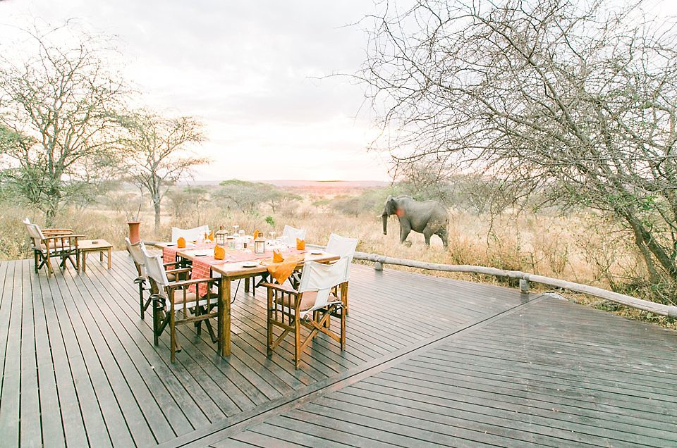 Asilia Olivers Camp | Tarangire, Tanzania
