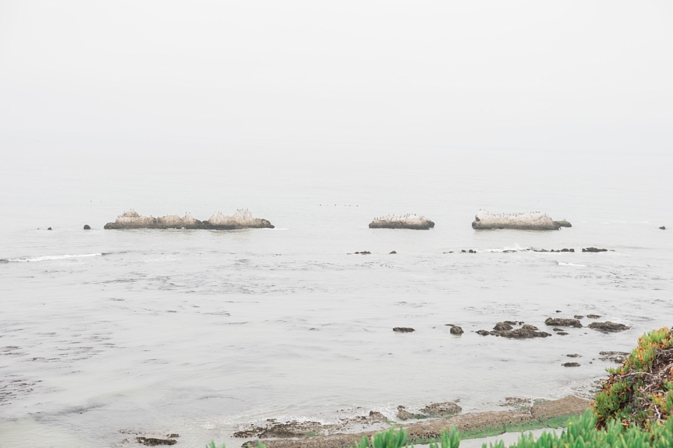 The Ritz-Carlton, Half Moon Bay, California | © The Globetrotter Collective - https://www.theglobetrottercollective.com