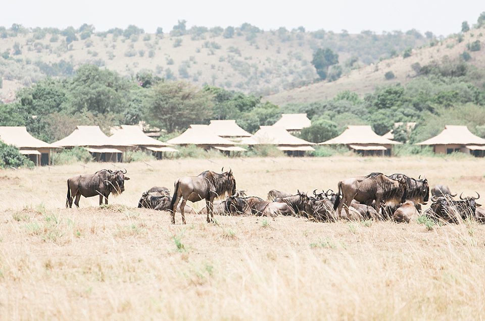 andBeyond Bataleur Camp | Masai Mara, Kenya