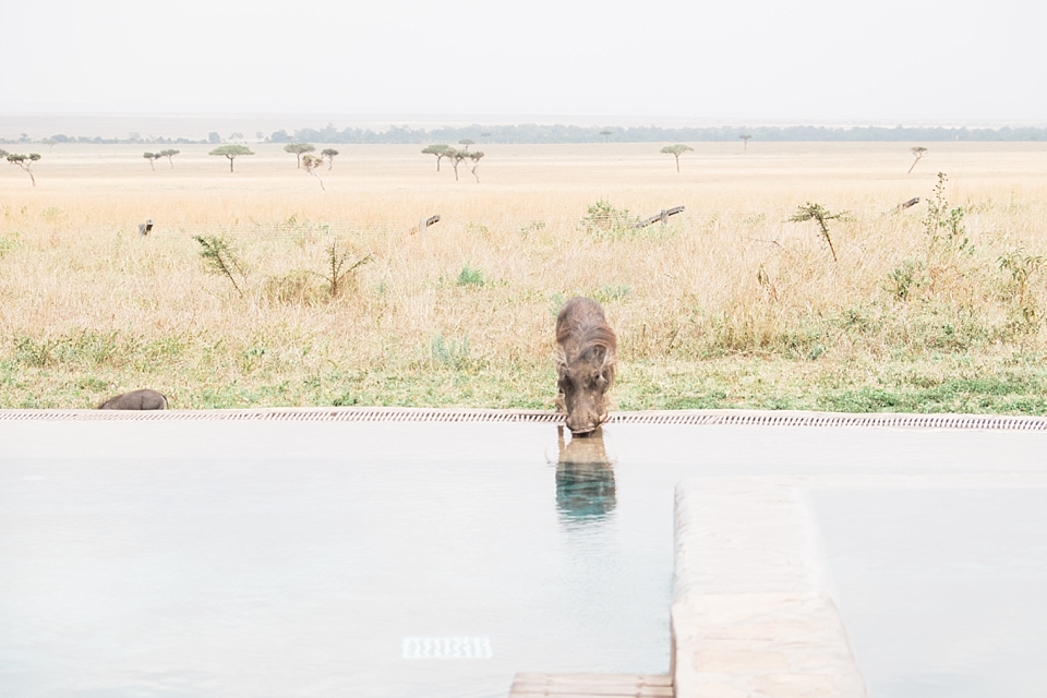 andBeyond Kichwa Tembo Tented Camp, Masai Mara, Kenya | © The Globetrotter Collective - https://www.theglobetrottercollective.com