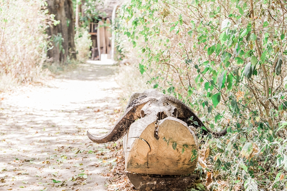 andBeyond Lake Manyara Tree Lodge, Tanzania | © The Globetrotter Collective - https://www.theglobetrottercollective.com