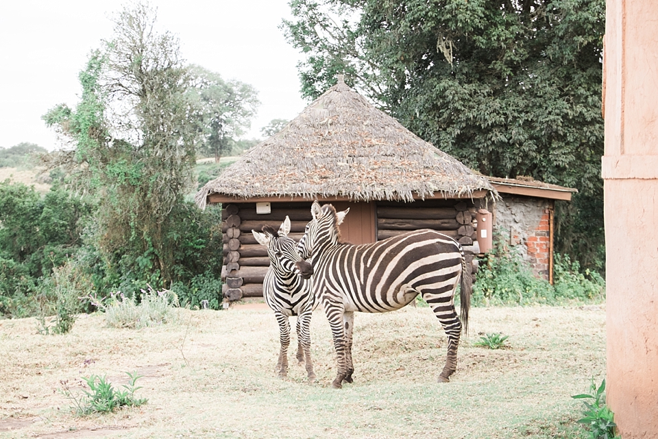 andBeyond Ngorongoro Crater Lodge, Tanzania | © The Globetrotter Collective - https://www.theglobetrottercollective.com