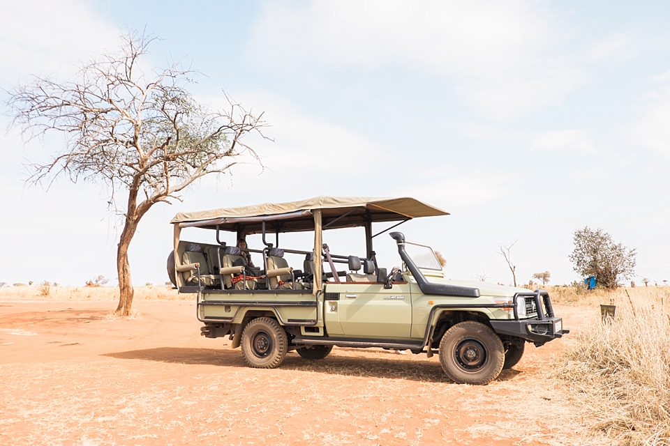 Tarangire Safari Game Drive, Tanzania | © The Globetrotter Collective - https://www.theglobetrottercollective.com