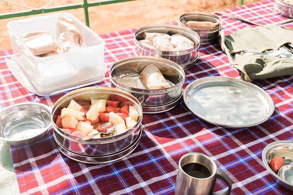 Tarangire Safari Game Drive, Tanzania | © The Globetrotter Collective - https://www.theglobetrottercollective.com