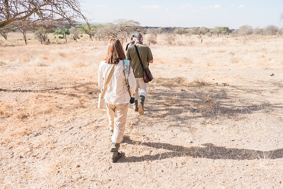 Tarangire Safari Game Drive, Tanzania | © The Globetrotter Collective - https://www.theglobetrottercollective.com