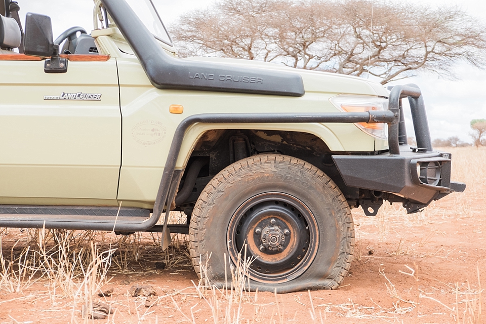 Tarangire Safari Game Drive, Tanzania | © The Globetrotter Collective - https://www.theglobetrottercollective.com