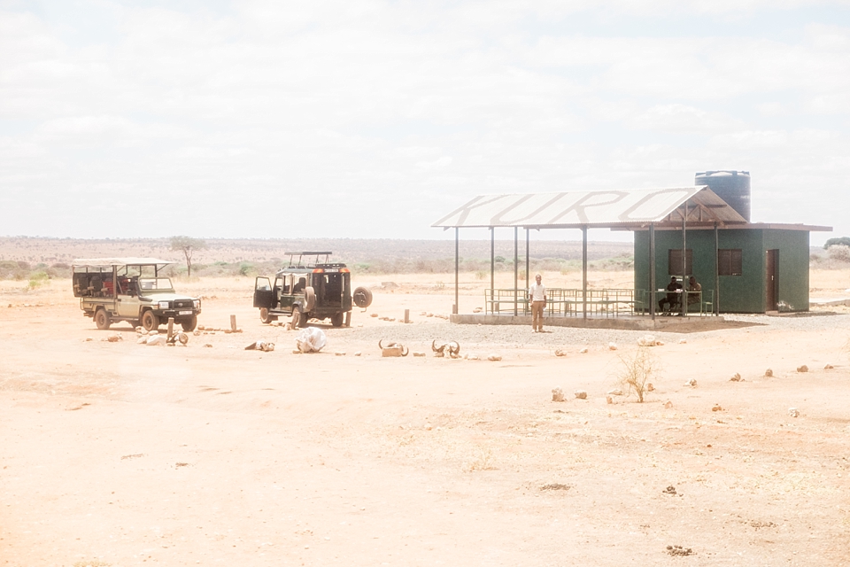 Tarangire Safari Game Drive, Tanzania | © The Globetrotter Collective - https://www.theglobetrottercollective.com